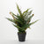 Authentic Look Fern Plant