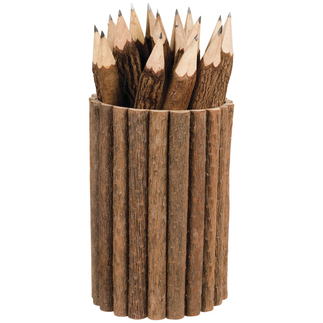 Twig Pencils