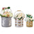 Bee Happy Bucket Set Of 3