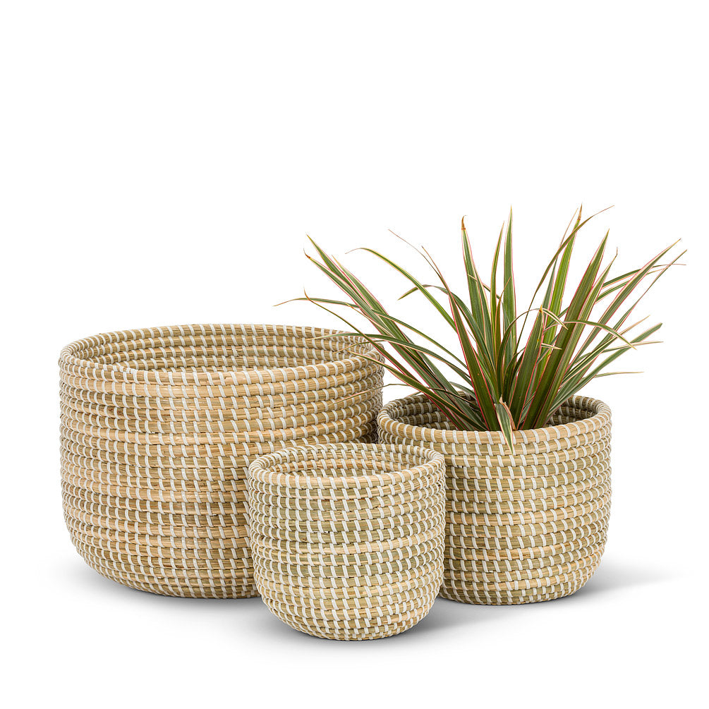 Decorative Storage / Planter Baskets