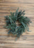 Blue Pine Finger Wreath